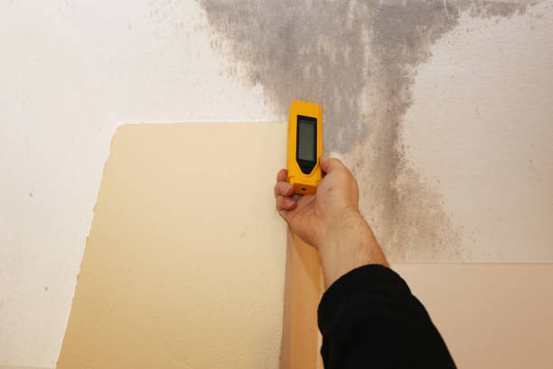 Best Biohazard Mold Removal  in Watertown, MN