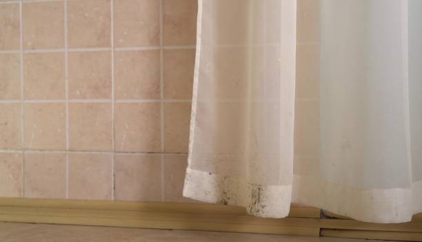 Best HVAC Mold Inspection and Cleaning  in Watertown, MN