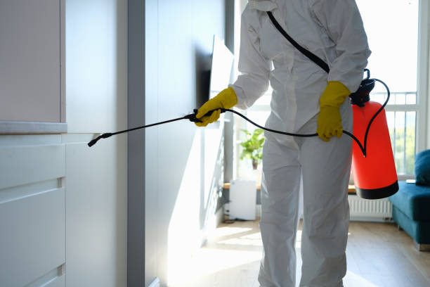 Best Comprehensive Air Testing for Mold Contaminants  in Watertown, MN