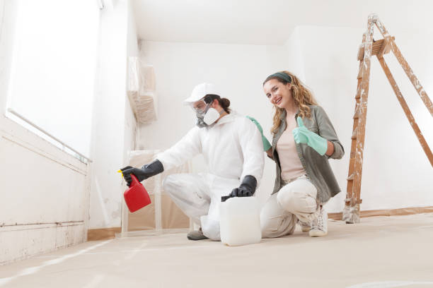 Best Mold Removal for HVAC Installations  in Watertown, MN
